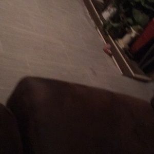 Meet your Posher, Terrell